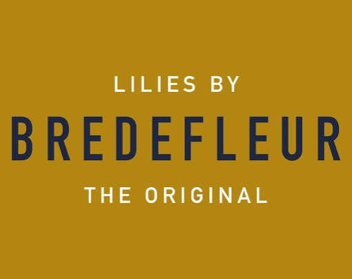 Bredefleur