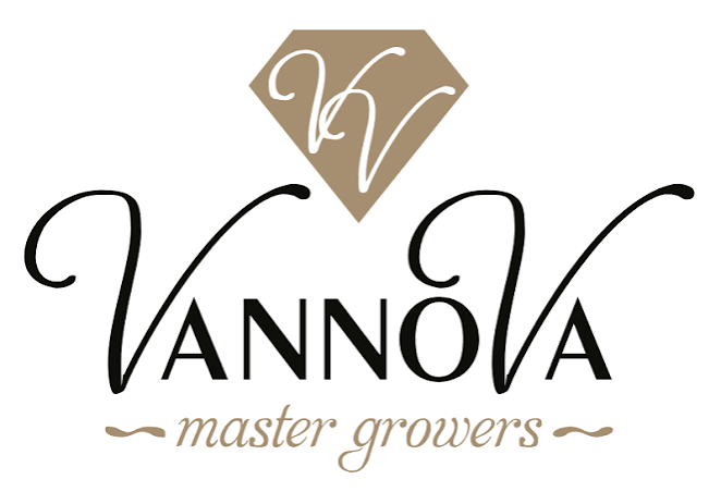 Vannova